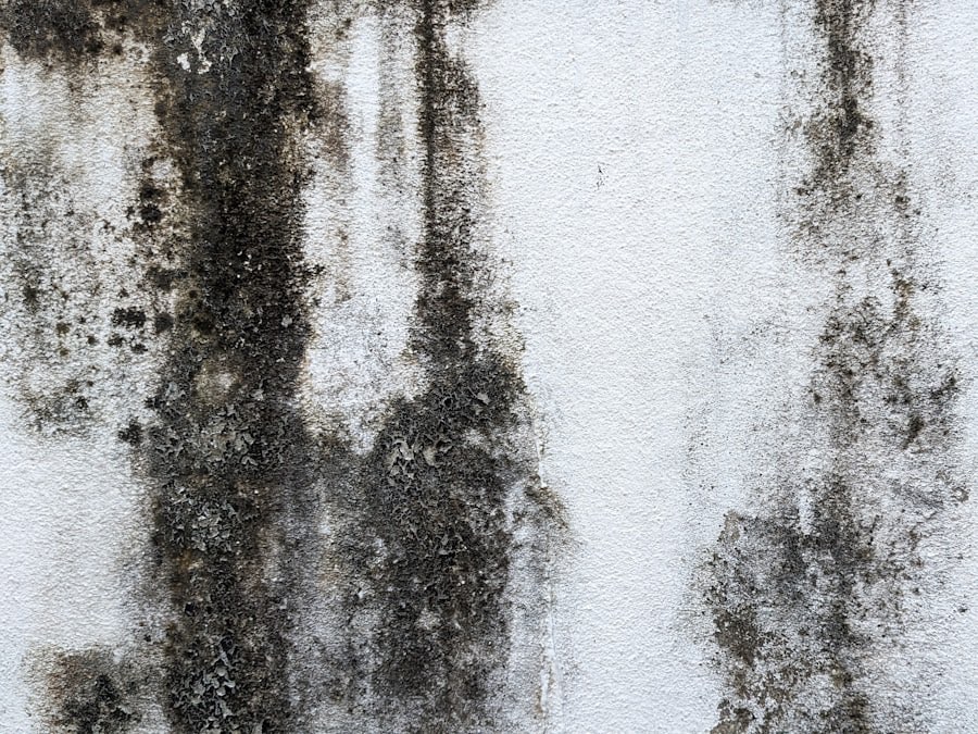 Mur touché par l'humidité avant traitement